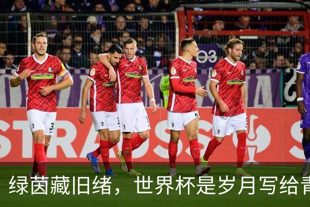 绿茵藏旧绪，世界杯是岁月写给青春的信